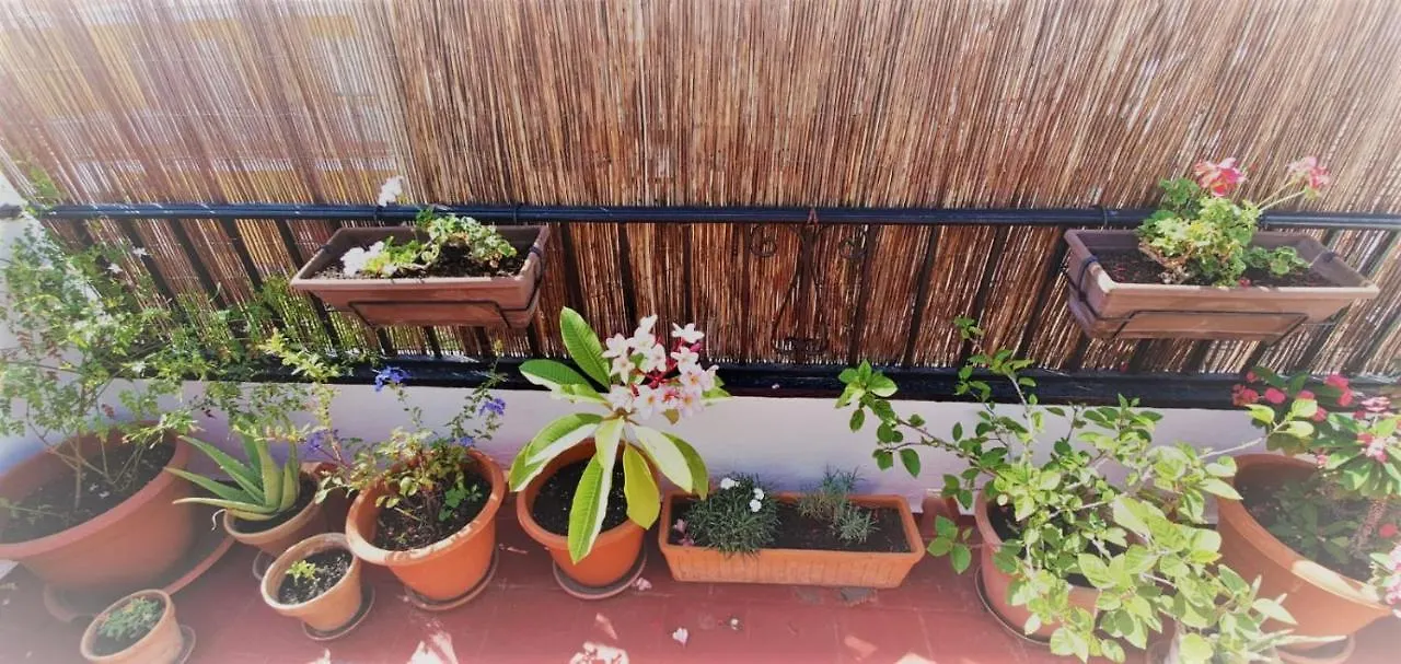Apartment Calle Goya Sun Fuengirola